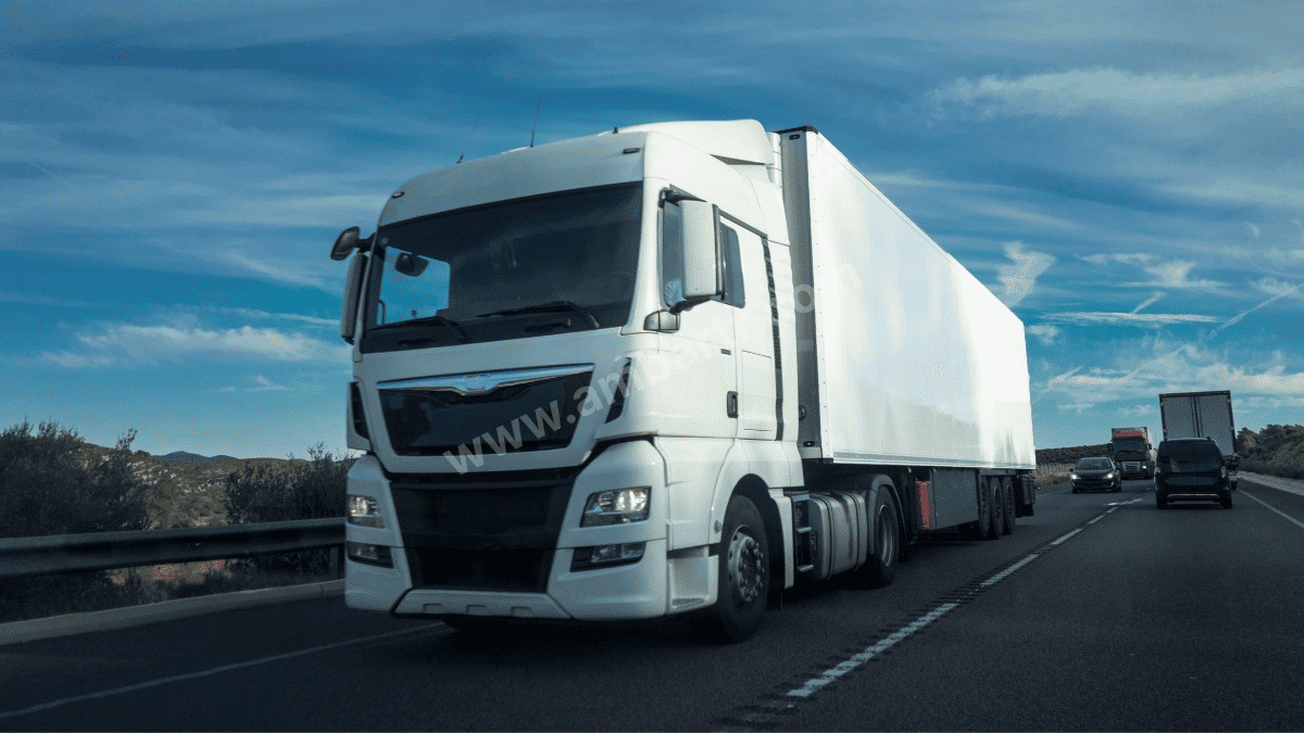 Trabzon Şehirler Arası Taşıma